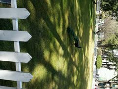 android_upload_pic-西昌邛海宾馆