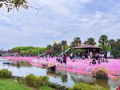 -苏州太湖西山岛开心农场