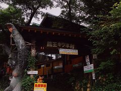 -宫城藏王狐狸村