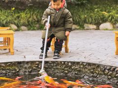 -成飞公园