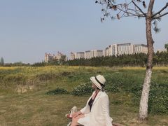-瑶湖郊野森林公园