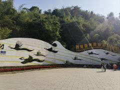 -西双版纳原始森林公园
