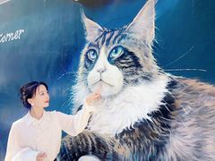 -豆逗聊愈猫阁Easy Life