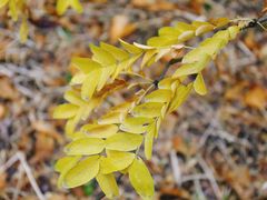 -长春公园(普阳街道)