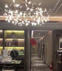-香榭丽舍·海菲秀·皮肤管理痘敏肌修护