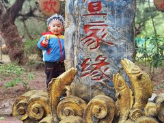 -北海金海湾红树林生态旅游区