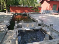 -百脉泉景区