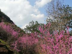 -天台山赤城山景区
