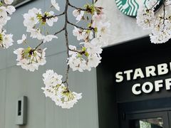 -玛格萝妮比萨屋(四平店)