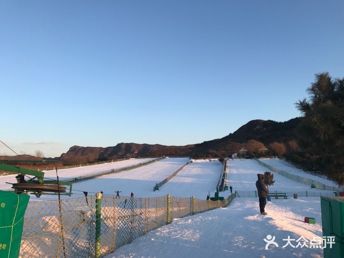 南山滑雪場-圖片-密雲區景點/周邊遊-大眾點評網