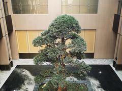 -外滩·云南人家(昆明旗舰店)