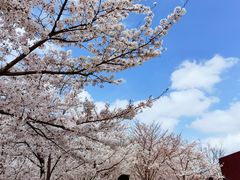 -龙美术馆(西岸馆)