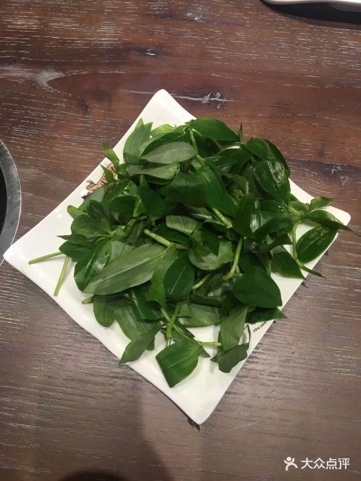 大三元豆乳火锅(龙光店)石斛苗图片