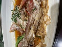 清蒸东星斑-金八仙酒店