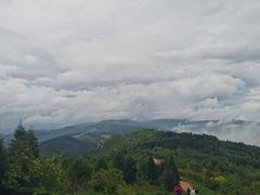 -长虫山生态公园风景林