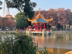 -金砂公园