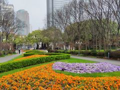 -新虹桥中心花园