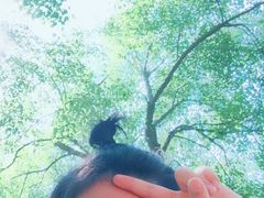 -秀水公园