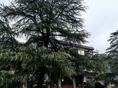 -中国宣纸文化园