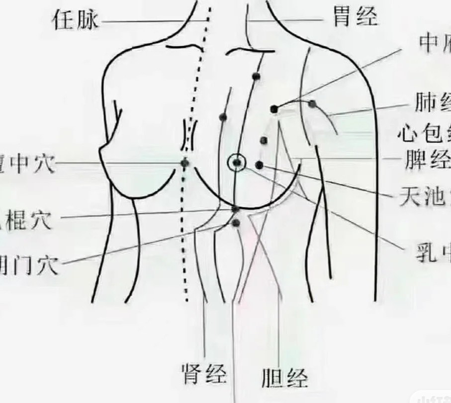 哺乳期乳房按摩 青筋图片