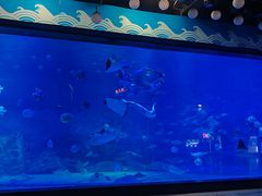 -烟台海昌鲸鲨海洋公园