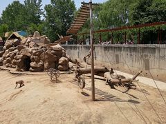 -西安秦岭野生动物园