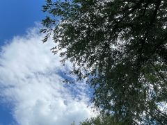 -北坞公园