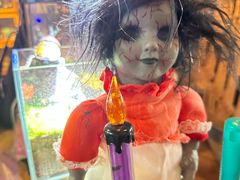 -抱暴龙爬宠·异宠·撸宠撸爬主题馆(大学路店)