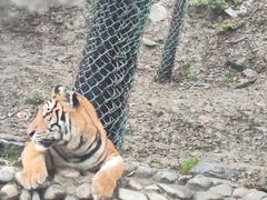 -栾川竹海野生动物园