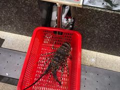 澳大利亚进口花龙-蚝专家(北滘店)