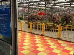 -南宫五洲植物乐园