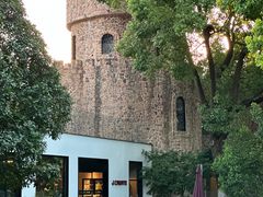 -J Create城市露营咖啡·简餐·宠物(上海动物园店)