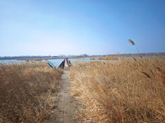 -盐城丹顶鹤湿地生态旅游区