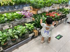 -鹿岛生活(熙地港店)