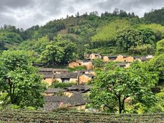 -杨家堂村