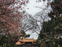 -圆通禅寺