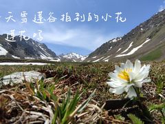-新疆那拉提国家旅游度假区
