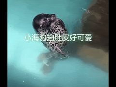 -代数学家algebraist(诚品店)