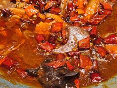 -金掌勺东北菜(格兰晴天店)