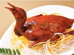 -云中小雅