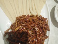 -金蝉食府(维吉奥广场店)