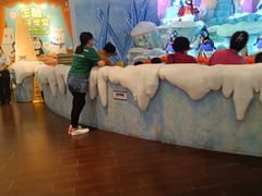 -帝企鹅自助餐厅•儿童岛•真企鹅(长隆企鹅酒店)