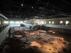 -自贡恐龙博物馆