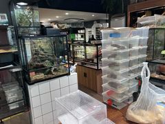 -酷以爬仙阁实体爬宠店·守宫·蜥蜴·专业繁育
