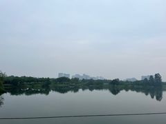-眉山湿地公园(东坡区)