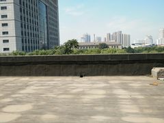 -东北大学(南湖校区)