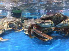 -恒生万鹂广场(唐镇店)