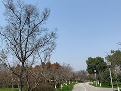-尚贤河湿地