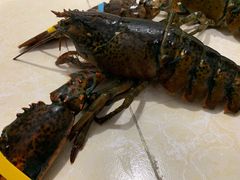 -众彩物流水产市场