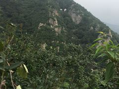 -北京鹫峰国家森林公园